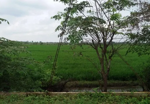 Tanah Sukajadi, Bekasi, Jawa Barat