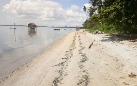 Jual Tanah - Pulau Bintan, Pinggir Pantai Lagoon