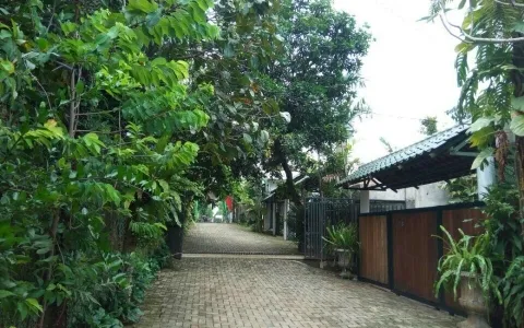 Rumah Siap Huni Jalan Sadar Jagakarsa Jakarta Selatan