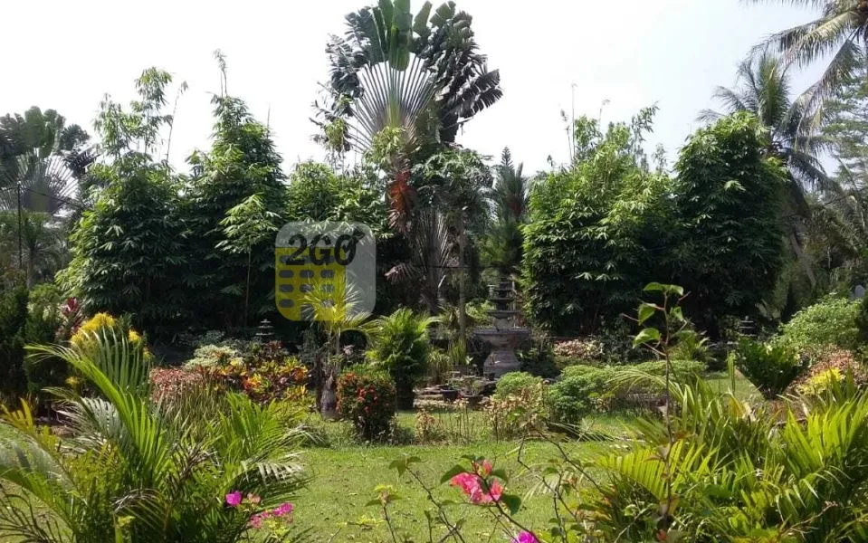 Tanah Peternakan  Tenjo Tangerang
