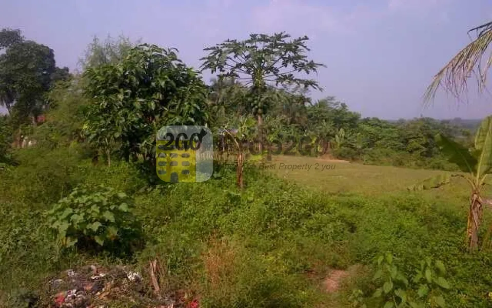 Tanah Rangkasbitung Hadap Jalan Raya Dekat SDN 1 Mekarsari