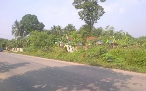 Tanah Rangkasbitung Hadap Jalan Raya Dekat SDN 1 Mekarsari