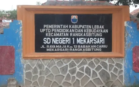 Tanah Rangkasbitung Hadap Jalan Raya Dekat SDN 1 Mekarsari