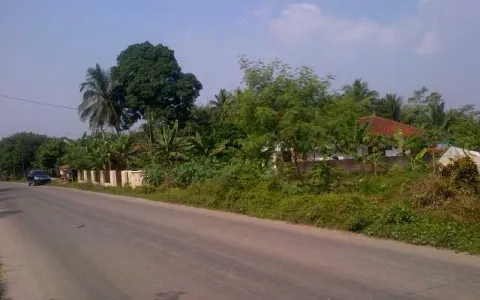 Tanah Rangkasbitung Hadap Jalan Raya Dekat SDN 1 Mekarsari