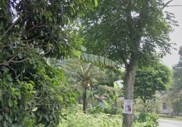 Dijual Tanah 5Ha daerah Sukabumi