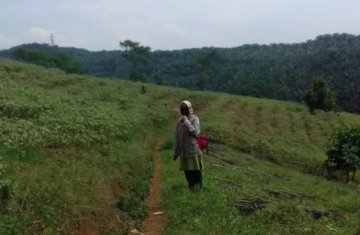 Tanah Daerah Cibadak Sukabumi | MA-T009