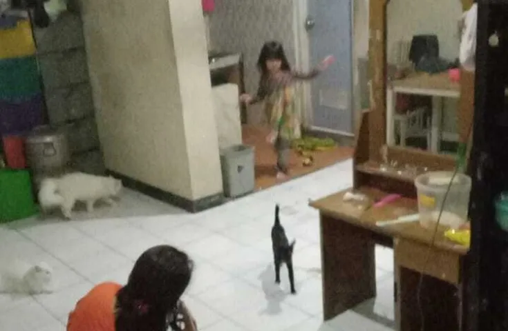 Dijual Rumah Jl Raya Kresek Gang Al Falah | R - 123