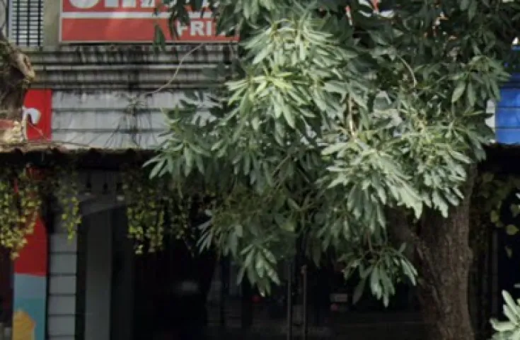 Disewakan Ruko murah di Citra 7