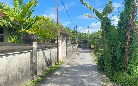 Disewakan Murah Tanah Sanur Denpasar Bali, Siap pakai