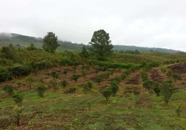 Dijual Cepat Kavling Di Desa Kacinambun Puncak 2000 siosar medan