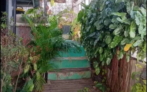 Dijual cepat rumah siap huni 3 lantai