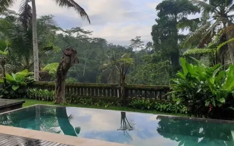 Dijual Cepat Villa Ubud Bali