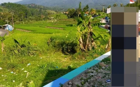 Dijual Tanah di Ciampea Bogor, Jawa barat