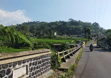 Dijual Tanah di Ciampea Bogor, Jawa barat