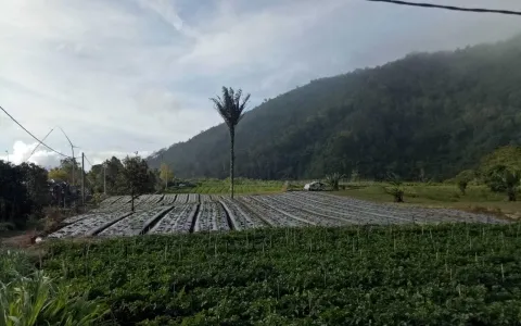 Dijual Cepat Tanah di Lombok , Nusa Tenggara Barat