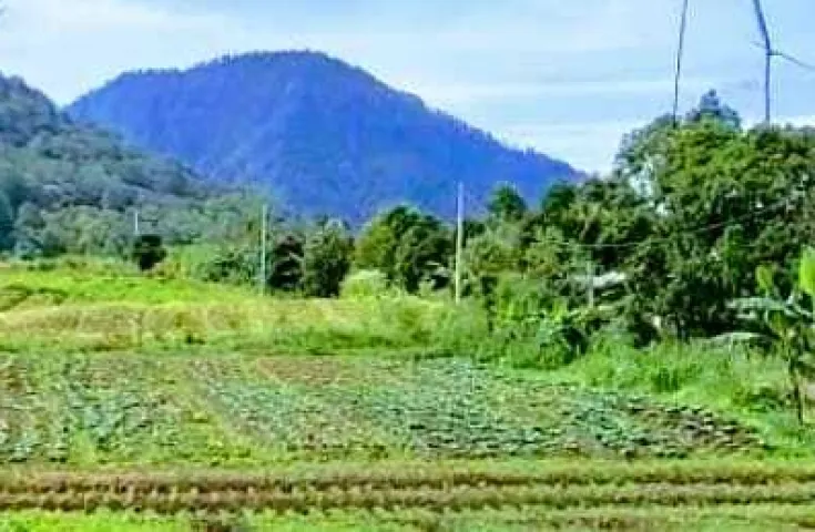 Dijual Cepat Tanah di Gesing , Bedugul