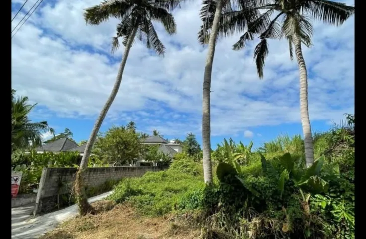 Disewakan Tanah di Lodtunduh, Ubud Gianyar Bali