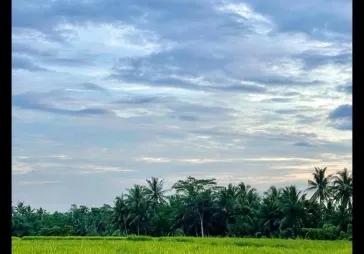 Disewakan Tanah di Lodtunduh, Ubud Gianyar Bali