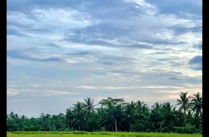 Disewakan Tanah di Lodtunduh, Ubud Gianyar Bali