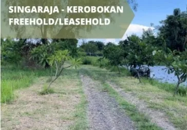 Dijual Murah Tanah di Kerobokan , Bali