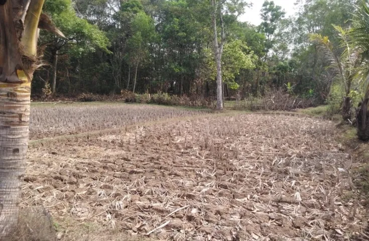 Dijual cepat (BU) Tanah industri kav.mabes margasari tigaraksa Tangerang