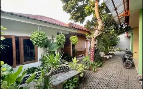 dijual cepat rumah dan kontrakan di jalan jeruk manis