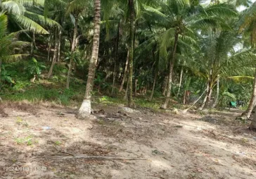 Dijual Tanah di Pesisir Pantai Kota Singkawang, Kalimantan Barat