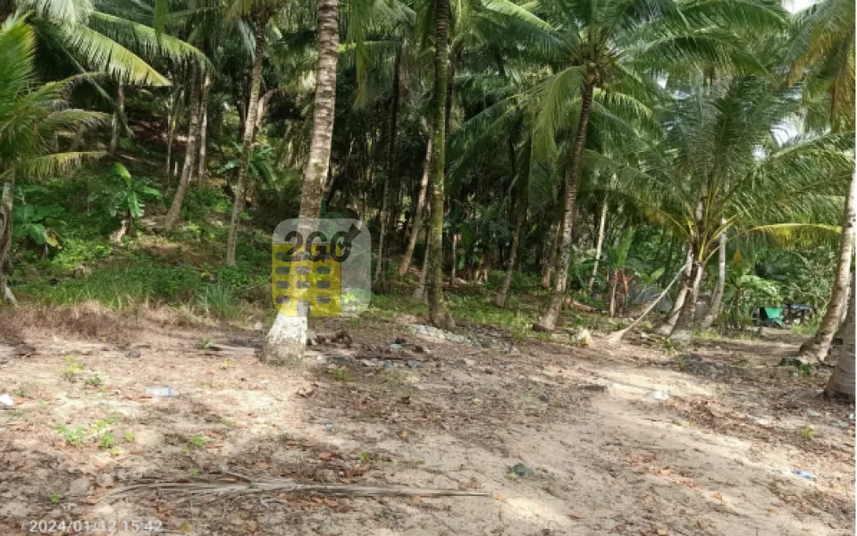 Dijual Tanah di Pesisir Pantai Kota Singkawang, Kalimantan Barat