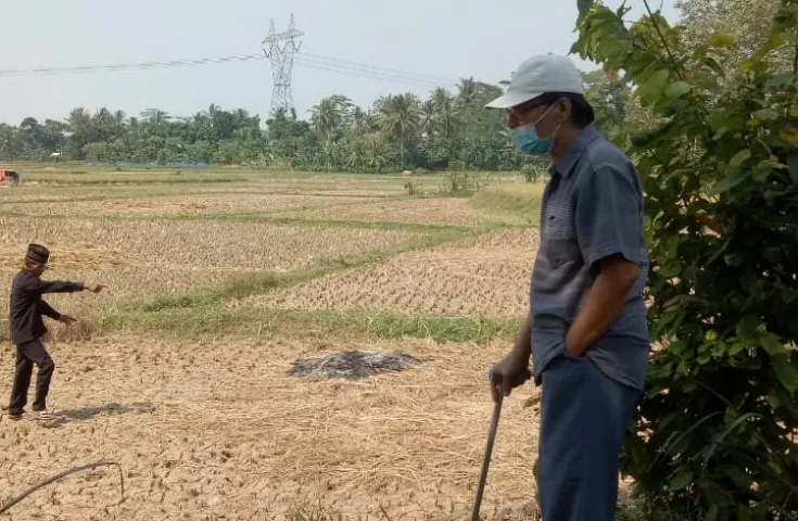 Dijual Tanah Darat dan Sawah di Serang, Banten