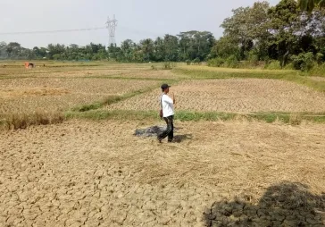 Dijual Tanah Darat dan Sawah di Serang, Banten