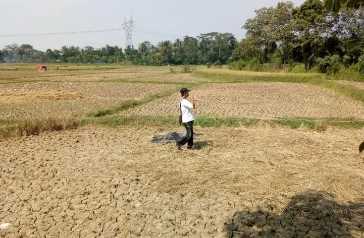 Dijual Tanah Darat dan Sawah di Serang, Banten