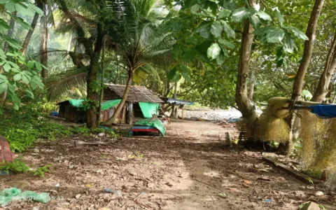 Dijual Tanah di Pesisir Pantai Kota Singkawang, Kalimantan Barat