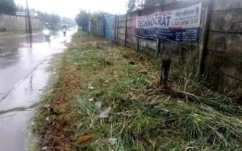 Dijual cepat tanah di jl raya pohon jati