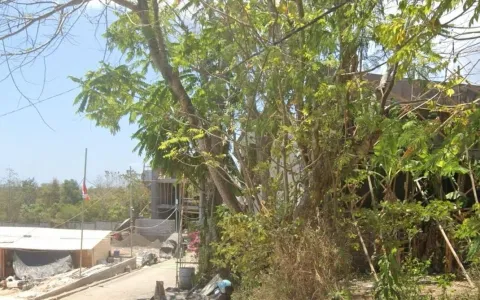 Dijual Cepat Tanah di Bingin, Badung, Bali