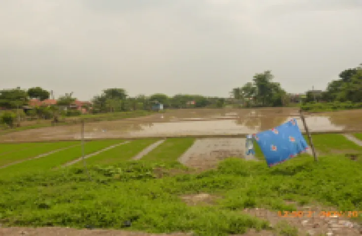 Lahan Dijual Cepat Di Jl. Raya Serang, Cikarang, Cibarusah