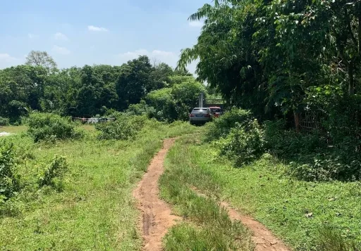 Tanah Dijiual Cepat Di Cikeusal, Serang, Banten