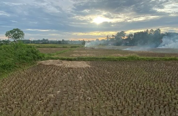 Tanah Padat Sawah Dijual Cepat Di Babat, Legok, Tangerang