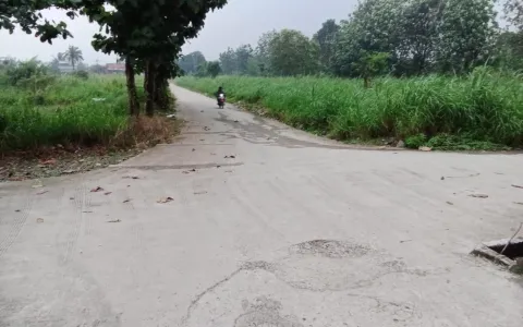 Tanah Dijual Cepat di Kampung Kiaralawang, Kabupaten Bogor