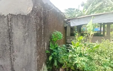 Tanah Dijual Cepat di Kampung Kiaralawang, Kabupaten Bogor