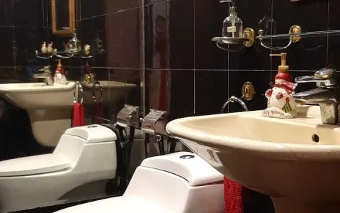 Rumah Dijual Cepat Siap Huni di Pulomas, Jakarta Timur