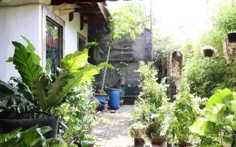 Rumah Dijual Cepat Siap Huni di Pulomas, Jakarta Timur