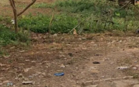 Dijual Tanah Strategis di Ciseeng parung