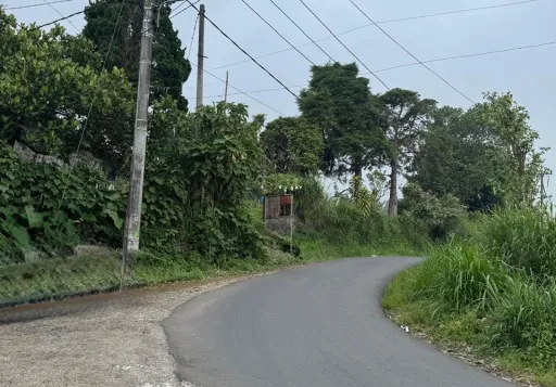 Jual Cepat Tanah di Bali