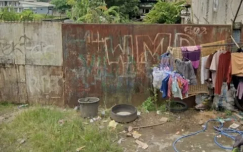 Jual Cepat Tanah di Tiga Raksa