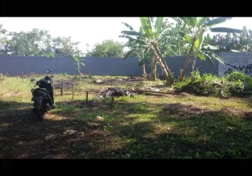 Tanah di Pinang Kunciran dekat Alam Sutera, Tangerang