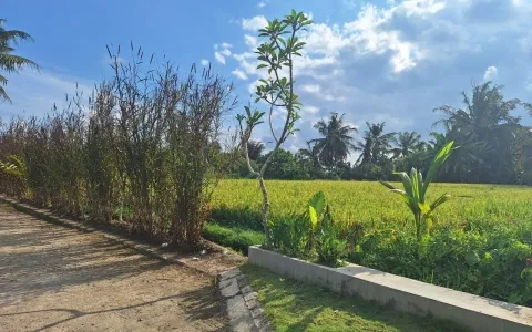 Disewakan Villa Baru di Lodtunduh, Ubud