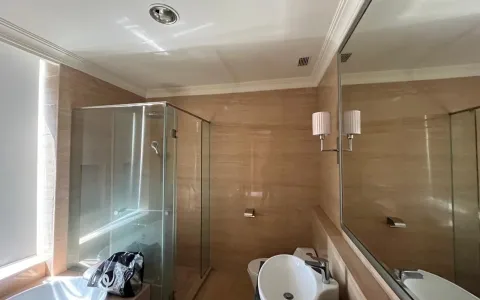 Disewakan Apartemen botanica