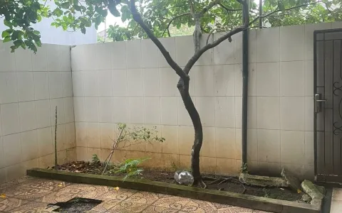 Rumah Dijual di Sutera Olivia, Alam Sutera