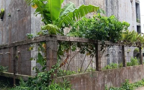 Dijual Rumah Sarang Burung Walet di Sukabumi