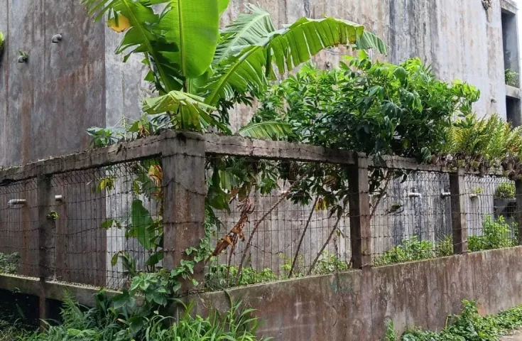 Dijual Rumah Sarang Burung Walet di Sukabumi